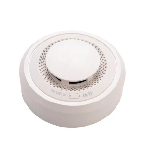 10-Year Dual Smoke and Carbon Monoxide Detector Fire Alarm for Home