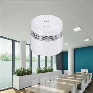 10-Year TUV EN 14604 Certified Mini Standalone Smoke Detector