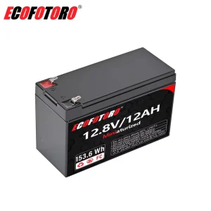 12Ah 12V LiFePO4 IP67 Deep Cycle Alarm Energy Storage System Single Phase Mini BMS Factory Direct 153.6Wh