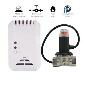 12V/220V Wall Mounted LPG & Natural Gas Leak Detector ABS Material Kitchen Cooking Alarm System for Home Use