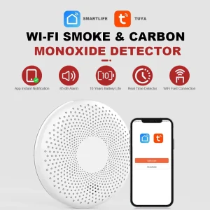 2-in-1 CO Smoke Detector Carbon Monoxide Alarm 85dB ABS 100m Detection Range