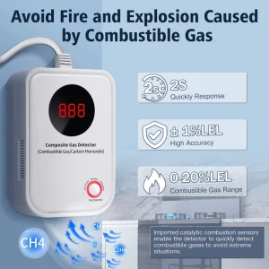 2-in-1 Combustible Gas Leak and Carbon Monoxide Detector with AC Extension Plug