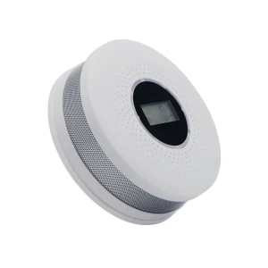 2-in-1 Home Carbon Monoxide and Smoke Alarm Detector