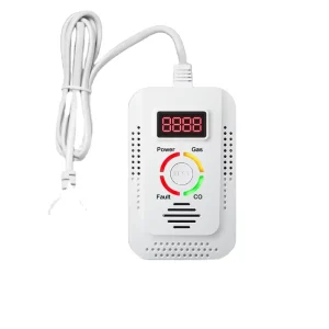 2-in-1 Household CO and Natural Gas Leak Detector