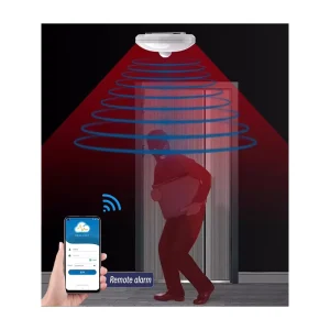 24GHz Radar Millimeter Wave PIR Human Presence Detector RS485 with LoRa, WiFi, 4G, and MQTT for Factory