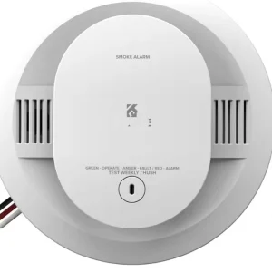 30cuar vcplc Voice Alert Commercial Smoke and CO Detection for Industrial Safety Control