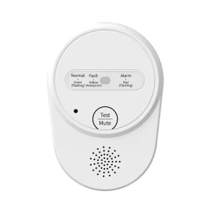 ABS Handheld Single Gas Detector Personal Wire Gas Alarm for Home Use