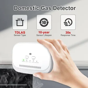 ABS Household Gas Detector BH-H10 for LPG and Natural Gas with Combustible Gas Leak Sensor