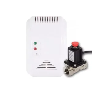 AC220V Household Natural Gas LPG LNG Combustible Gas Leak Detector with EU or 3-Pin Plug