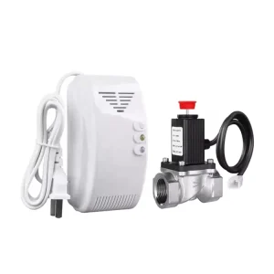 AC220V LPG Combustible Gas Leak Detector Sensor with Standalone and Solenoid Valve Functions