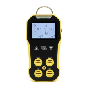 Bosean C2H2 50ppm Portable Gas Detector Personal Alert Toxic Gas Alarm with IP Network Connection