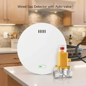 CH4 Natural Gas Leak Alarm and Fire Alarm System with 4G SF6 Gas Leak Detector for Kitchen and Restaurant