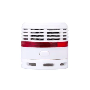CO Carbon Monoxide and Smoke Gas Sensor Alarm with LCD Display for Kitchen