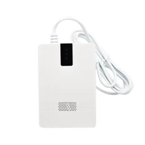 CO and gas combined detector carbon monoxide and LPG 2 in 1 detector for home