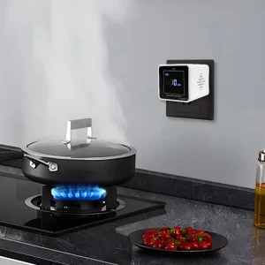 Carbon Monoxide Detector and Concentration Alarm for Home, Kitchen and Toilet