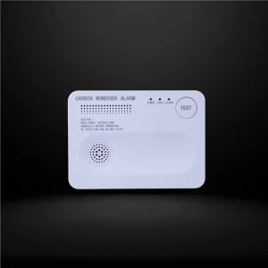 Carbon Monoxide Detector with EN 50291 Certification