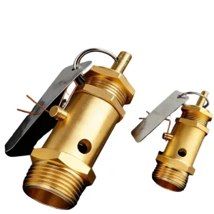 Copper A21W 16T Spring Type Safety Valve Pressure Relief Valve for Air Compressor and Steam Boiler with Customized Support