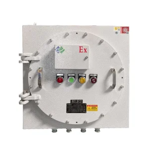 Customizable IP66 AC220V 220A XH PD 0.3KVA BX2021 Industrial Indoor Power Distribution Box Emergency Lighting Equipment