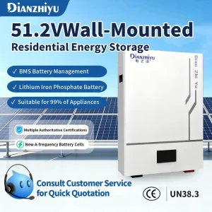DIANZHIYU 5kWh Emergency Power Supply Home Energy LiFePO4State Battery XC16S LP100