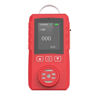DR 650 CE ATEX Industrial Explosion Proof H2S Gas Detector Catalytic Combustion Sensor High Accuracy Portable Sound Alarm