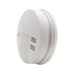 Dual-Voltage Ceiling-Mounted Indoor Smoke Alarm with 9V Battery and AC 220V Wiring