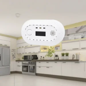 EN 50291 CE Factory Direct Carbon Monoxide Detector with LCD Indicator