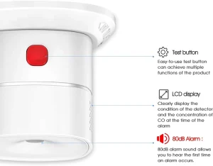 EN 50291 Certified Standalone CO Gas Leak Alert Detector Carbon Monoxide Detector For Kitchen Use