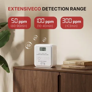 EN 50291 Standalone Carbon Monoxide Alarm with Replaceable Battery, LCD, and Household Fire Alarm