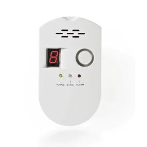 EN50194 Approval OEM Independent Stand Alone LPG Gas Alarm 100 240V AC Home Gas Leak Detector