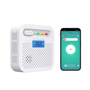 EN50291 Home Carbon Monoxide Gas Sensor Detector Electrochemical Sensor 80 dB Alarm Remote Control 10-Year Battery WiFi