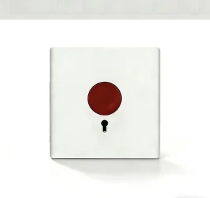 Emergency Alarm Switch