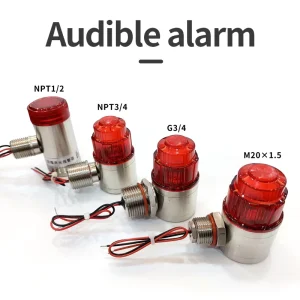 Explosion-Proof Gas Detector with Sound and Light Alarm, Stainless Steel Housing, 24VDC, 10m Detection Range, Direct Factory