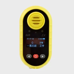 Explosion-Proof Portable Ozone (O3) Gas Detector for Spray Booths, Boiler Rooms, and Pharmaceutical Plants