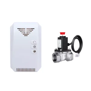 Factory AC Power Supply Combustible Gas Detector with Solenoid Valve DN15 LPG LNG CH4 Alarm for Household