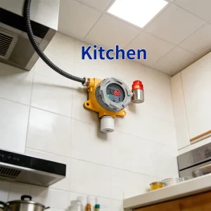 Factory Industrial Explosion-Proof CH4 Methane Gas Detector with 4-20 mA Sensor