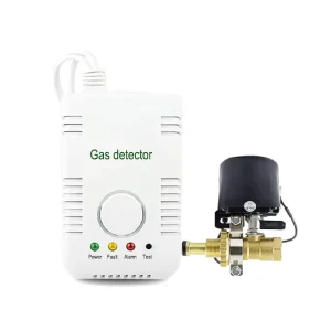 Factory OEM Home Kitchen Methane LPG LNG Multi-Gas Detector with Solenoid Valve, Manipulator, 315/433 MHz
