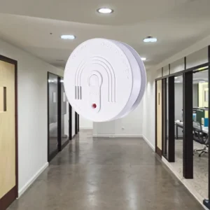 Factory OEM/ODM Standalone 9V Battery Home Smoke Detector
