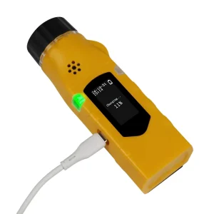 Factory Price Portable Sound Light Alarm Handheld Gas Detector CL2 H2S HCL Portable Gas Detector O2 Handheld Gas Detector