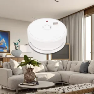 Factory Wholesales OEM ODM Stand Alone 9V Battery Powered Smoke Alarm Standalone Smoke Detector