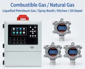 Fixed Explosion-Proof LPG Gas Leak Detector, LEL CH4 EX
