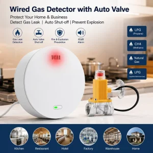 Gas Detector for Propane Methane CH4 Natural Gas LPG Gas Leak Alarm Fire Alarm System Kitchen Restaurant Safety Tuya 4G Optional
