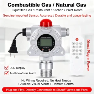 High-Precision CH4 Methane Fixed Online Analyzer and Explosion-Proof Gas Leak Detector