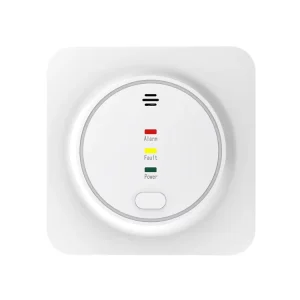 High Quality Household Natural Gas Alarm With 10 year Battery Natural Digital Gas Detector Gas Leakage Monitor