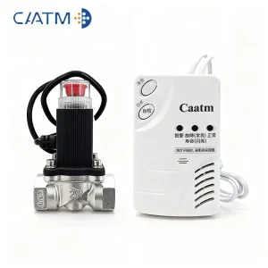 Home ABS Methane Gas Leak Detector with Automatic Shut-Off Valve, 4G Network, Sound and Light Alarm, 0-20%