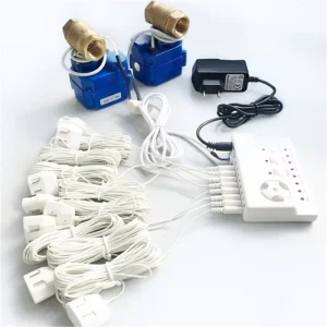 Home Alarm System of Protection from Water Leak Detector with Probe