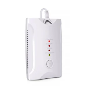 Home Security Gas Detector