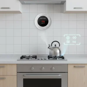 Household CO and Methane Gas Alarm Photoelectric Sensor Remote Control 80 dB DC220V