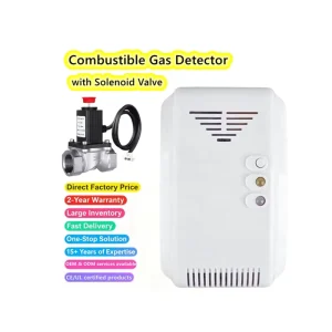 Household Combustible Gas Detector with Solenoid Shut-off Valve LPG/Natural Gas Alarm ABS Material 12V/220V