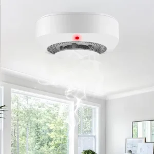 Household Fire Alarm Devices with Smoke Sensors and CO2 Concentration Detection