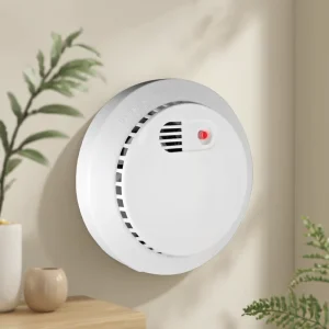 Household Independent Smoke Detector with 10-Year Fire Alarm